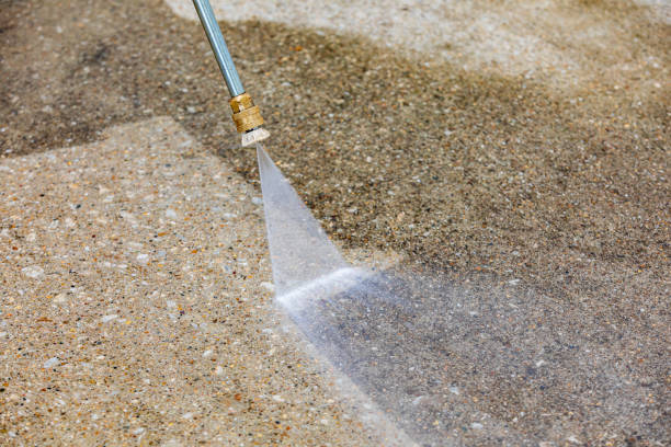 Best Gutter Cleaning  in Wheat Ridge, CO